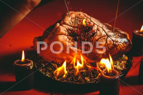 Magic ritual with bovine heart Stock Photos