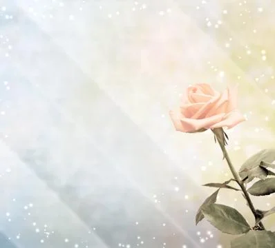 Magic rose Stock Illustration