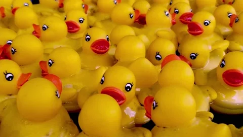 The magic rubber ducks.4K Stock Footage 160938556