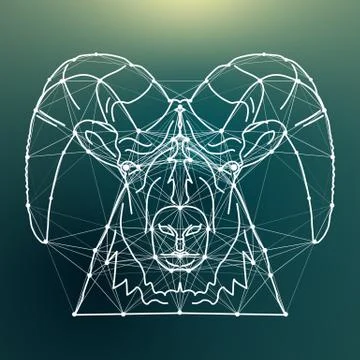 Magic sheep lines connected with dots Stock Illustration