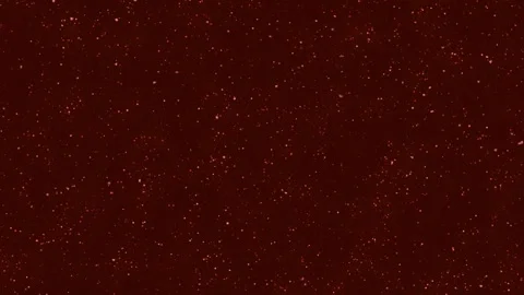 Magic of shimmering stars in a deep crimson sky at night Stock Footage 333202853