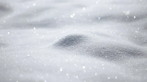 Magic shiny and snowy meadow details Vidéo 97996947