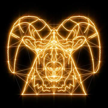 Magic shiny sheep lines connected with dots Stock Illustration