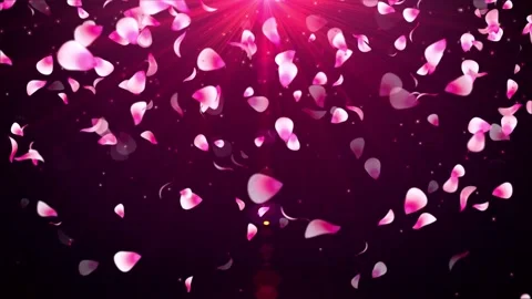 Falling Rose Petals on black background, Stock Video