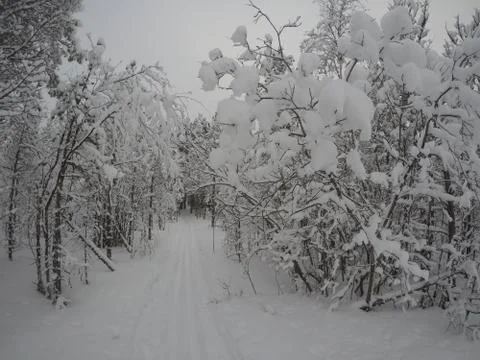 Magic ski track Stock Photos