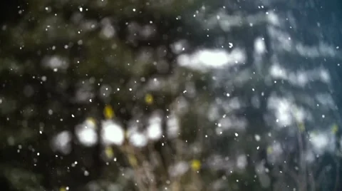 Magic snow flies up like ashes Stock Footage 59211179
