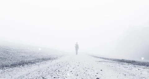 Magic snowfall in rural landscape Stock Footage 98998990