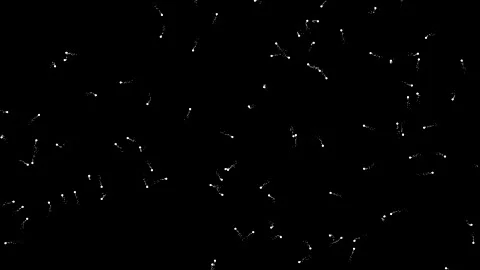 Magic spots motion graphics with night background Stock Footage 141102221
