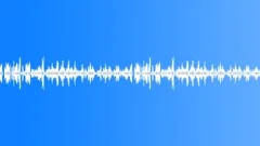 Magic Spring Forest, Singing Birds - Early morning, Forest Magic Birdsong - aSound Effect