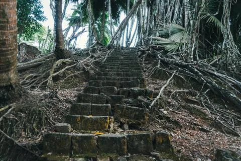 Magic stone steps Stock Photos