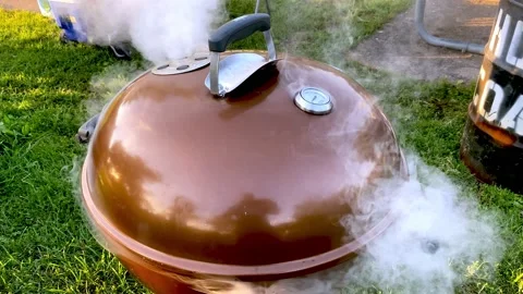 Magic summer barbecue.4K Stock Footage 160929804