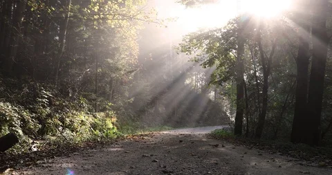 Magic sun rays on morning road Stock Footage 97067874