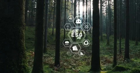 Magic sunny forest tree landscape with concept esg icons animation Stock Footage 343616673