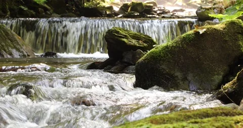 Magic sunny river with mossy rocks Vídeos de archivo 231900538