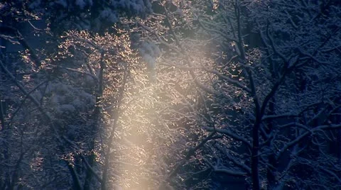  magic sunny snow b Stock Footage 20907154
