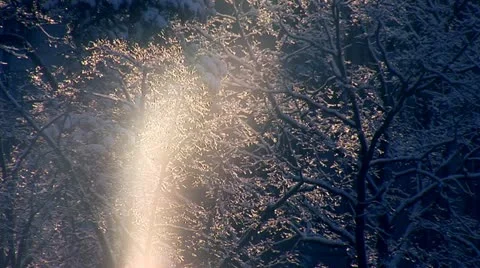  magic sunny snow a Stock Footage 20904133