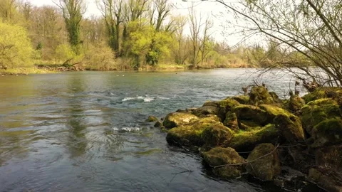 Magic sunny spring season river with trees Vídeos de archivo 146099485