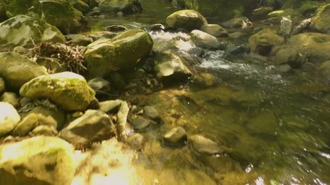 Magic sunny stream closeup shot Stock Footage 228741113