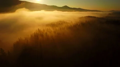 Magic sunrays in fog from an aerial view Stock Footage 123302826
