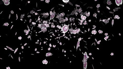 Magic super cute abstract and nice picture Stock Illustration