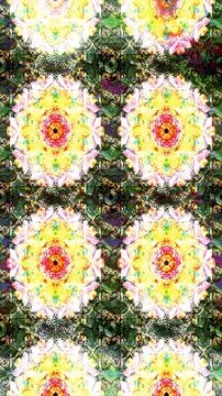 Magic super cute abstract and nice picture Stock Illustration