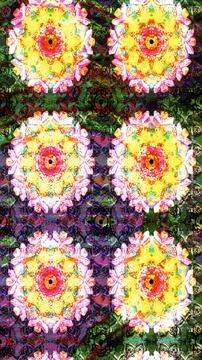 Magic super cute abstract and nice picture Stock Illustration