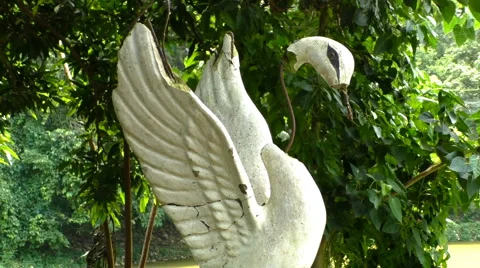 Magic Swan Stock Footage 66563326