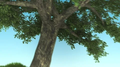 Magic Tree In Clouds Stock Footage 242011528