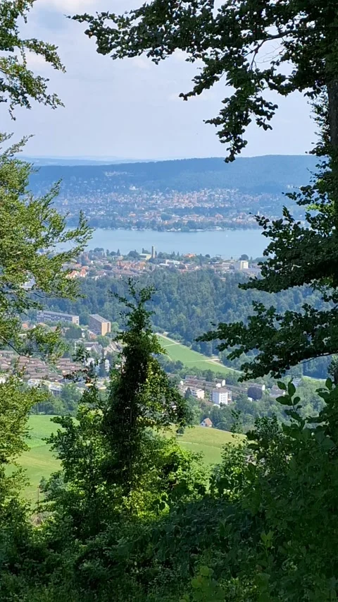 Magic veuw from Uetliberg Video stock 338258220