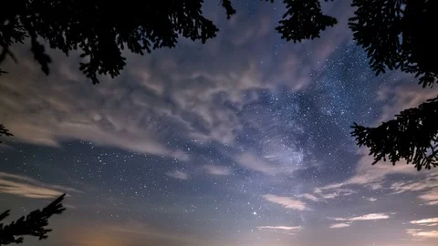Magic view of night sky with milky way galaxy over tree silhouette Time lapse Video stock 115256980