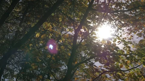 Magic Water Mill. Edit Sequence Video stock 81478489