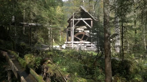 Magic water mill in the forest Video stock 81438893