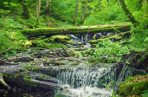 Magic waterfall in the forest. 스톡 사진