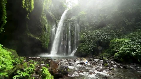 Magic waterfall in the middle of the jungle in Indonesia Stock Footage 233145649