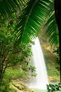 Magic waterfall in tropical forest perspective view Stock Photos