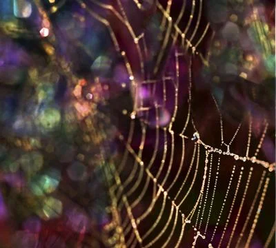 Magic web Foto stock