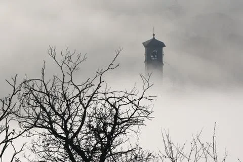 The magic of winter fog Stock Photos