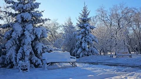 Magic Winter Park Stock Footage 256163376