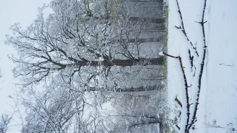 The magic of winter reveals itself in every snowflake pattern. Stock Footage 296408294