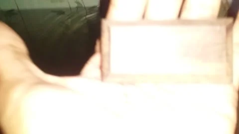 Magic Wood Video stock 171412487