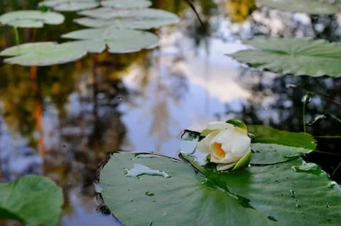 Magic world Foto stock