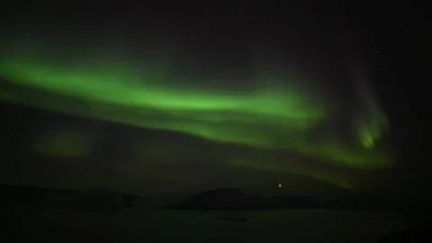 Magical Aurora Borealis Casts Its Spell Over Norway's Pristine Forest. 動画素材 334658899