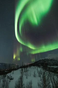 Magical Aurora Borealis in green, red, pink colours above Mortenhals with t.. Stock Photos