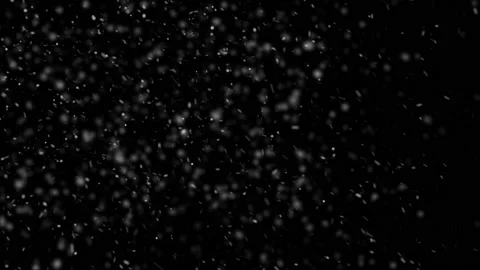 Magical Black Snowfall Stock Footage 162468184