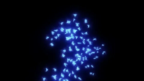 Magical blue birds flutter on a black background. Stock Footage 246022641