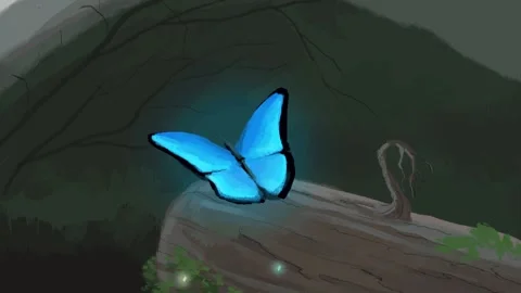 Magical butterfly Stock Footage 141890668