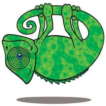 Magical Chameleon Stock Illustration