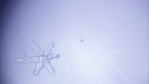 Magical christmas background in the form of a growing snowflake Stock Footage 104426915