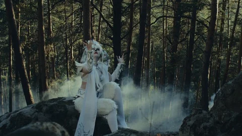 Magical creature with horns is conjuring sitting on boulder between trees Stock-Footage 93000481