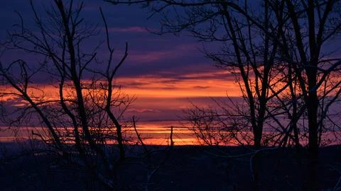 A magical dusk in the forest with a dramatic dark sky Stock Photos